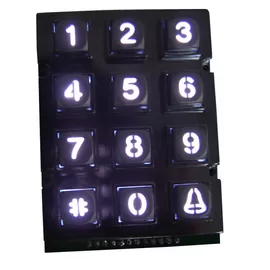 China door security industrial phone keypad with 12 metal key and white backlit supplier