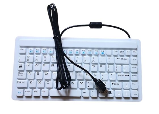 China 24V Russian medical keyboard PS2 cable with 88 key dishwasher safe supplier