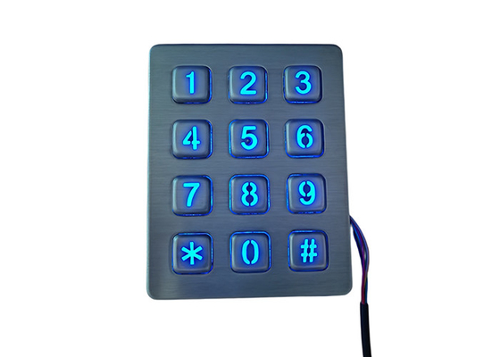 Industrial Stainless steel Kiosk keypad with panel mount 12 keys , Metallic Keypad